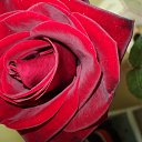 ���� �������, ������ - ��������� 27 ����� 2015 � ������ ���������