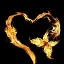 ���� �����, ������ - ��������� 28 ������� 2014 � ������ ������ ��������