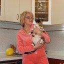 ���� ������, ��������, 67 ��� - ��������� 30 ������ 2015 � ������ ���� ����������