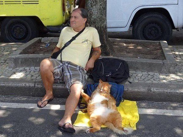 ��������� � ������,��� ���� ��������: fotostrana.ru/prikolyzikfun/