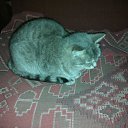���� Aleksandr, ������, 51 ��� - ��������� 25 ������� 2014 � ������ ���� ����������