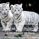 ���� Sedoi, ������, 64 ���� - ��������� 9 ������� 2015 � ������ ������ ��������