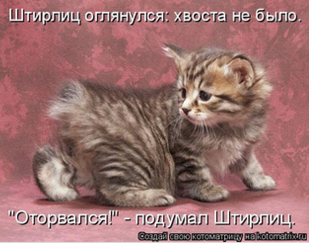 •°https://fotostrana.ru/away?to=/sl/68D2 - 20  2014  13:59