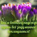 ���� ������, ����������, 62 ���� - ��������� 2 ����� 2015 � ������ �������� ��������