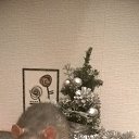 ���� ��������� (�� ��������), ����� - ��������� 25 ������� 2014 � ������ ���� ����������