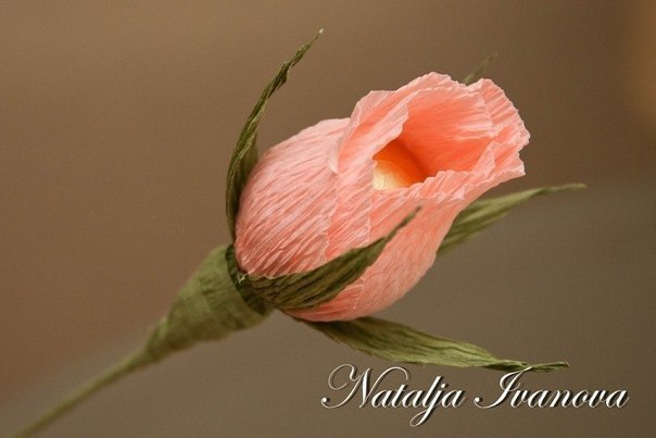 �������� ����� �� ������. - 6