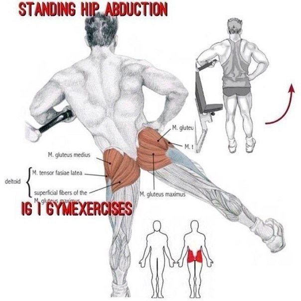 SportFeed - 29  2015  05:38 - 7