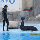 ���� ����, ������, 40 ��� - ��������� 9 ������ 2015 � ������ ���� ����������