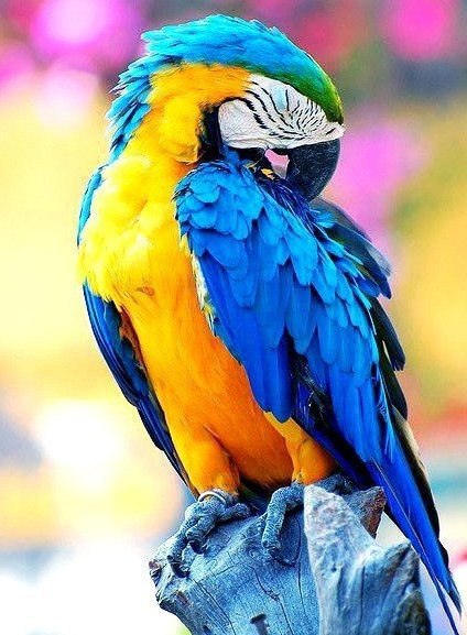    - 22  2015  10:01 - 6