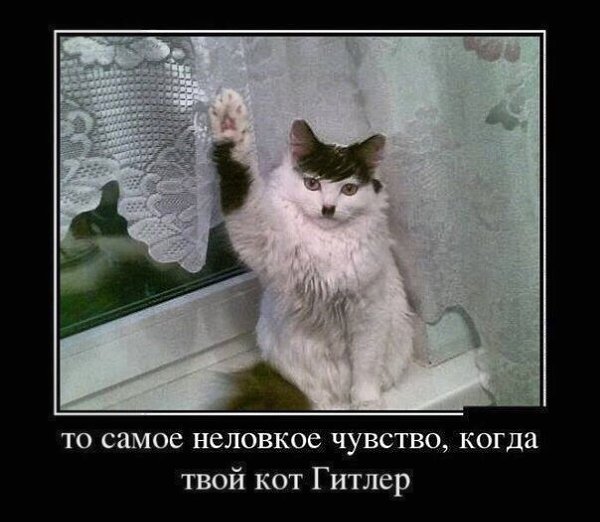    :-) - 31  2015  12:40