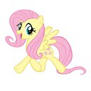  , -, 23  -  1  2015   fluttershy