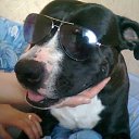  , , 42  -  6  2015     )))