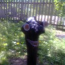 ���� ������, �������, 52 ���� - ��������� 21 ������� 2014 � ������ ���� ����������