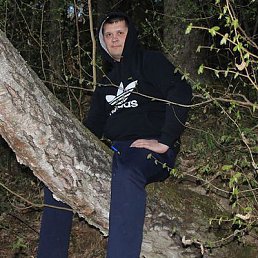 ���� �������, ������, 41 ��� - ��������� 17 ������ 2015