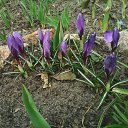 ���� ������, �������, 43 ���� - ��������� 10 ������ 2015 � ������ ���� ��������!!!!!�