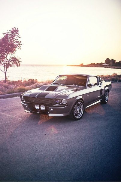 Shelby GT500 - 2