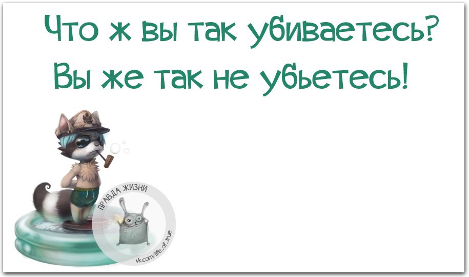 Смешной рыжий кот. А вы так и не. А вы так и не. Анекдоты про психологов. Шутки про психологов.