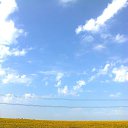 ���� ���, �����, 42 ���� - ��������� 29 ������ 2015 � ������ ������ ��������