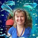 ���� ����� ��������, ������, 44 ���� - ��������� 22 ����� 2015 � ������ ������ ��������