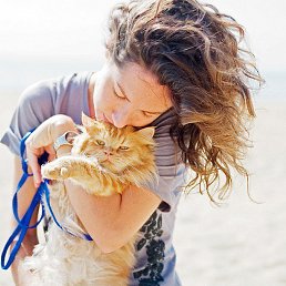 Kisa, ������, 45 ���