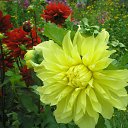 ���� �����, ������, 69 ��� - ��������� 15 ����� 2015 � ������ ���� ����������