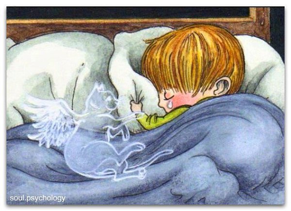 Сны нужны для того, чтобы хоть немного побыть с тем, кого нет рядом...