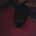 ���� �����, �����������, 52 ���� - ��������� 5 ����� 2015 � ������ ���� ����������