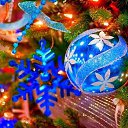 ���� ��������, ���� - ��������� 29 ������� 2014 � ������ ������ ��������