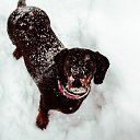 ���� ������, ������ ��������, 57 ��� - ��������� 20 ������ 2015 � ������ ���������