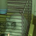 ���� ������, �������, 31 ��� - ��������� 27 ������� 2014 � ������ ���������