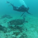 ���������, �.�������, ������ ������