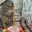 ���� ����, ������ - ��������� 11 ������ 2015 � ������ ������ �������