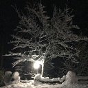 ���� ������, ������-��-����, 51 ��� - ��������� 16 ������ 2015 � ������ �������