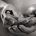 ���� ��������, ��������� - ��������� 13 ������� 2015 � ������ ������ ��������