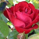 ���� �����!!������� ������, ������������ - ��������� 25 ������� 2015 � ������ �������� � ��� ������