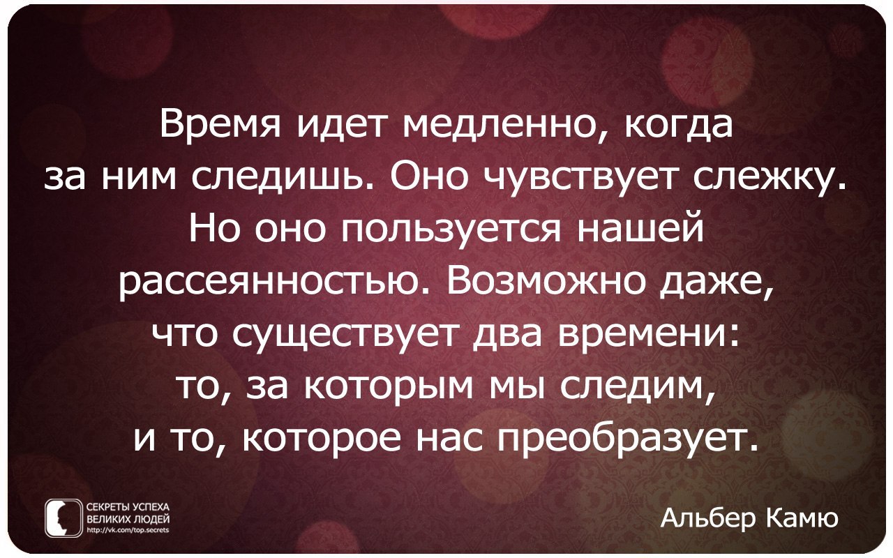 ������� ������ ������� ����� - 8 ����� 2015 � 23:38