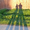 ���� �� ������� ���� ����������