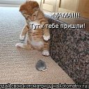 ���� �������, �������, 64 ���� - ��������� 6 ������ 2015 � ������ ������ ��������
