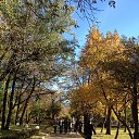 ���� �����, �����������, 70 ��� - ��������� 22 ������� 2014 � ������ ���� ����������