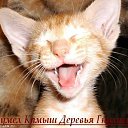 ���� Lusija, ������, 66 ��� - ��������� 6 ������� 2015 � ������ ��������� � �������
