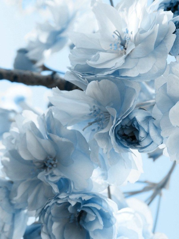   - 22  2015  11:30 - 3