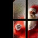 ���� ���������, ��������� - ��������� 27 ������� 2014 � ������ ������ ��������