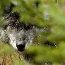 ���� ������, ������������, 49 ��� - ��������� 19 ������� 2015 � ������ ���� ����������