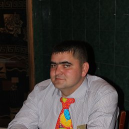 ���� ����������, ����, 43 ���� - ��������� 4 ������ 2015