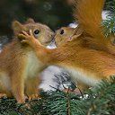 ���� �����, ������� ��������, 54 ���� - ��������� 26 ������� 2015 � ������ ���� ����������