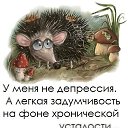 ���� ��������, ������ - ��������� 10 ������ 2015 � ������ ������ ��������