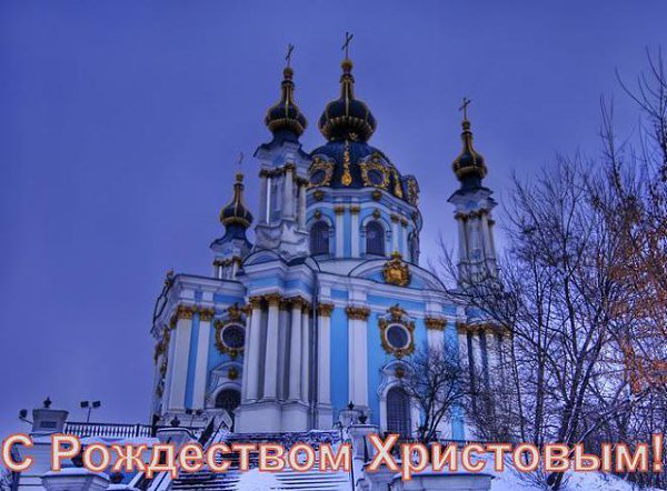 Примите поздравления в Рождество! Пусть в вашей жизни чудо приключится, пусть радость, вдохновение и ...