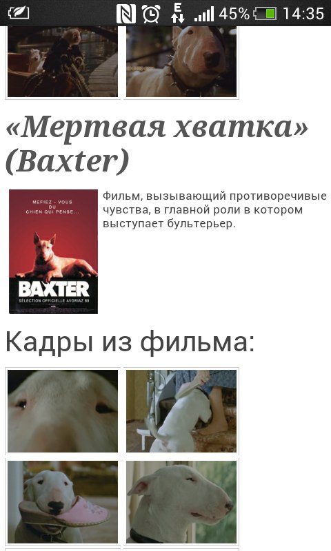 Художественные фильмы про https://fotostrana.ru/away?to=/sl/YOG2 - 3