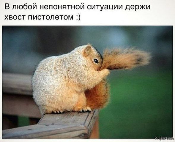   - 2  2015  14:15
