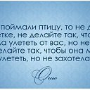 ���� ��������� (Super Star), �������� - ��������� 12 ������ 2015 � ������ ������ ��������